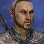 ESO - Altmers (High Elves)