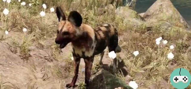 Far Cry Primal - Lista de animales