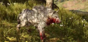 Far Cry Primal - Lista de animales