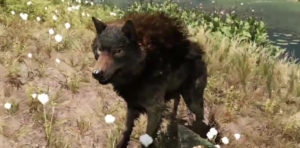 Far Cry Primal - Lista de animales