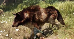 Far Cry Primal - Lista de animales